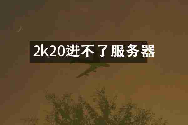 2k20进不了服务器
