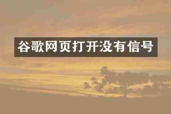谷歌网页打开没有信号