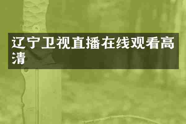 辽宁卫视直播在线观看高清