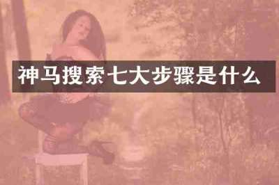 神马搜索七大步骤是什么