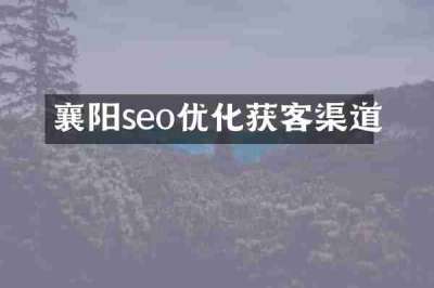 襄阳seo优化获客渠道