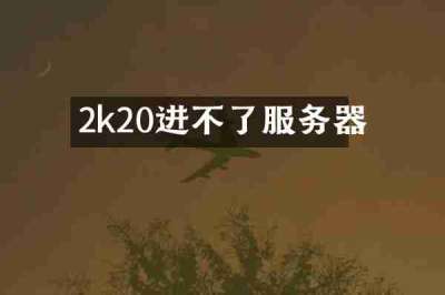 2k20进不了服务器