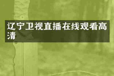 辽宁卫视直播在线观看高清