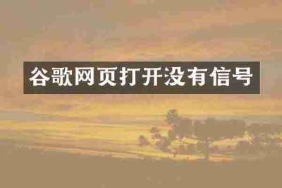谷歌网页打开没有信号