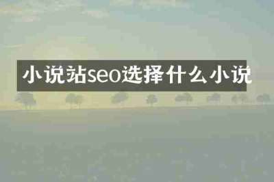 小说站seo选择什么小说