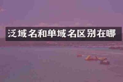 泛域名和单域名区别在哪