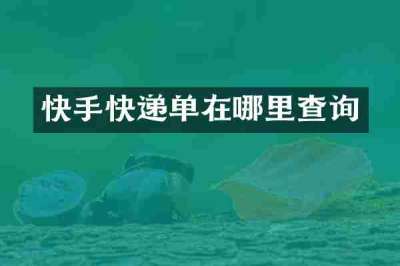 快手快递单在哪里查询