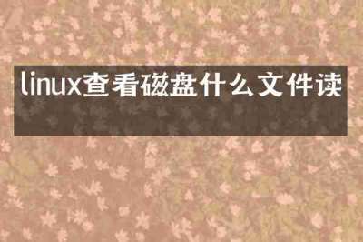 linux查看磁盘什么文件读写