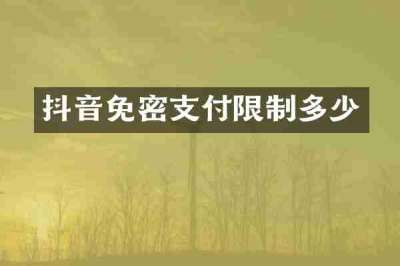 抖音免密支付限制多少