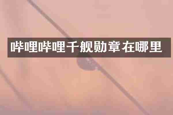 哔哩哔哩千舰勋章在哪里