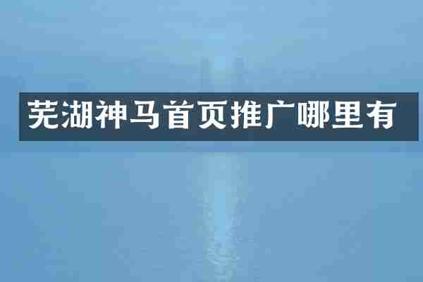 芜湖神马首页推广哪里有