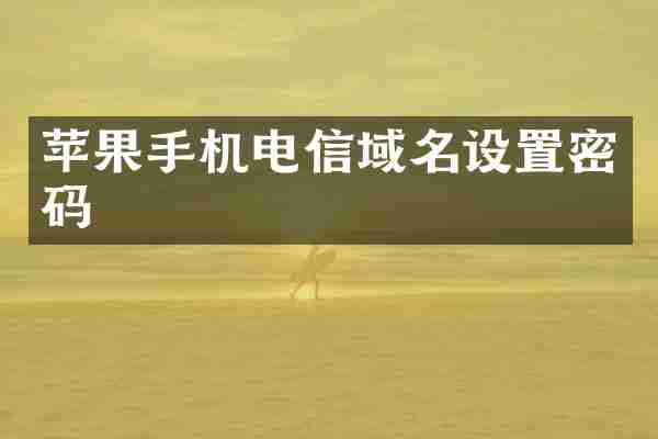 苹果手机电信域名设置密码