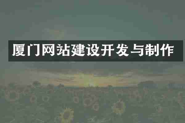 厦门网站建设开发与制作