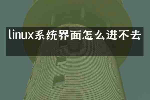 linux系统界面怎么进不去皮
