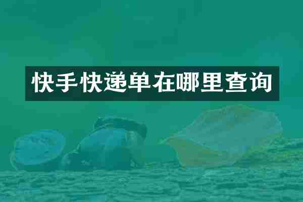 快手快递单在哪里查询