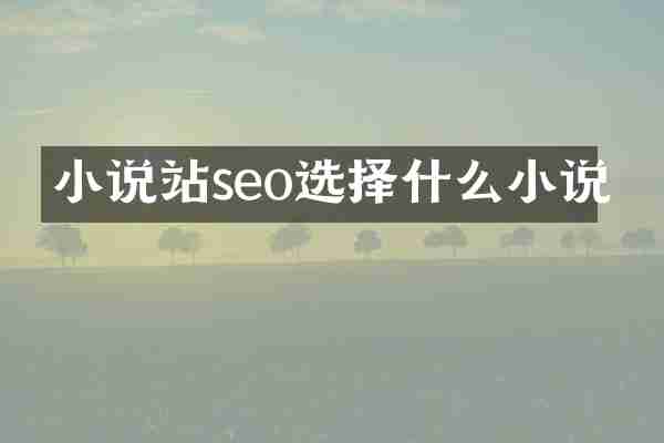 小说站seo选择什么小说