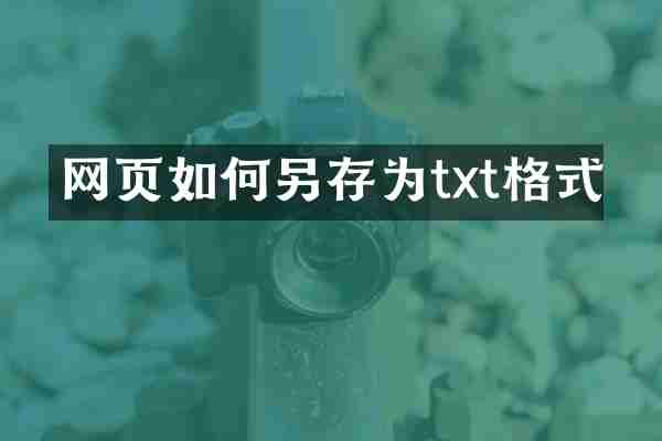 网页如何另存为txt格式