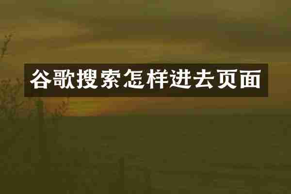谷歌搜索怎样进去页面