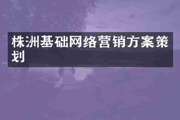 株洲基础网络营销方案策划