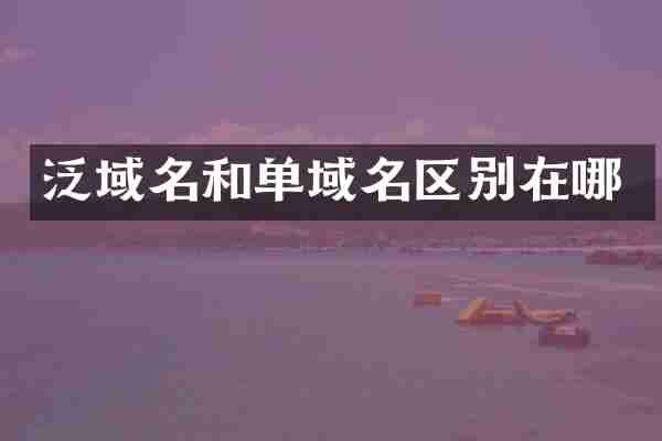 泛域名和单域名区别在哪