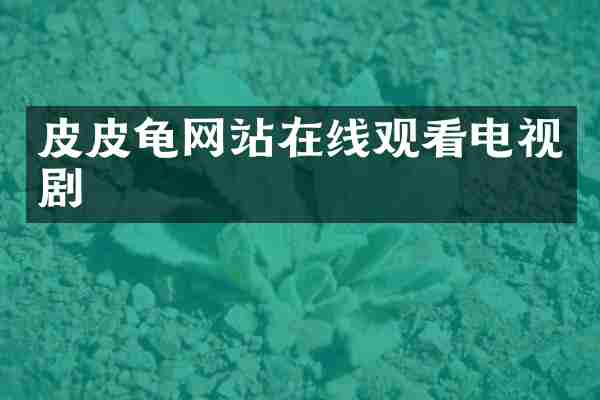 皮皮龟网站在线观看电视剧