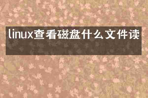 linux查看磁盘什么文件读写