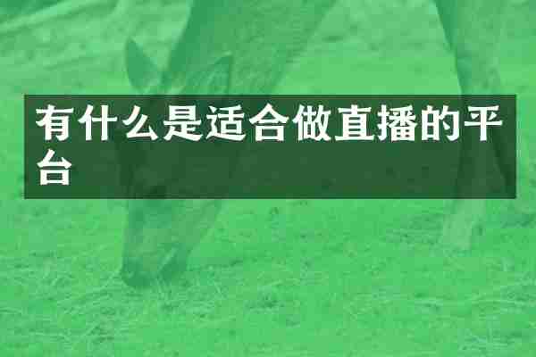 有什么是适合做直播的平台