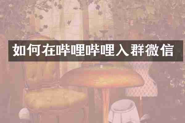 如何在哔哩哔哩入群微信