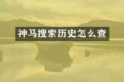 神马搜索历史怎么查