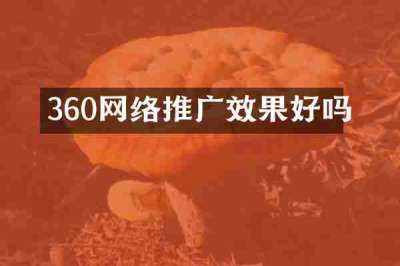 360网络推广效果好吗