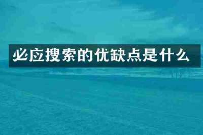 必应搜索的优缺点是什么