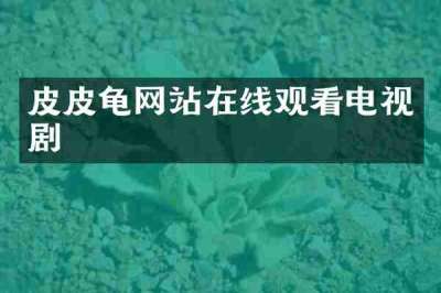 皮皮龟网站在线观看电视剧