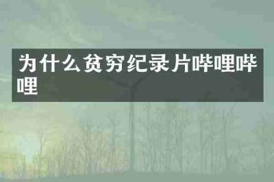 为什么贫穷纪录片哔哩哔哩