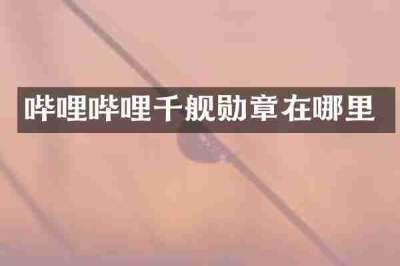 哔哩哔哩千舰勋章在哪里