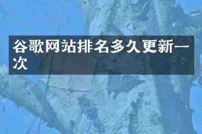 谷歌网站排名多久更新一次