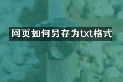 网页如何另存为txt格式