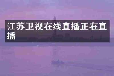 江苏卫视在线直播正在直播