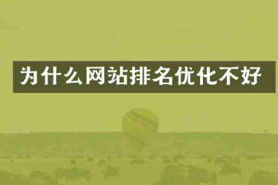 为什么网站排名优化不好