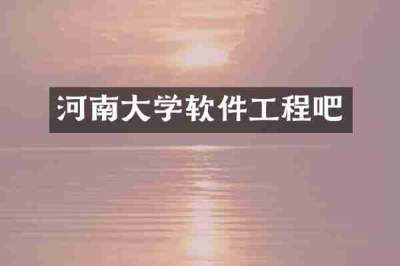 河南大学软件工程吧