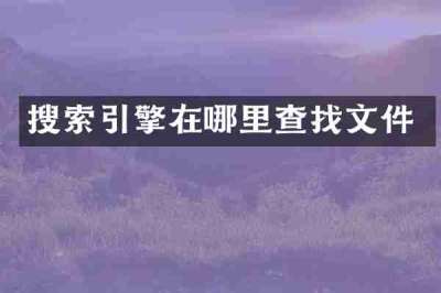搜索引擎在哪里查找文件