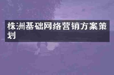 株洲基础网络营销方案策划