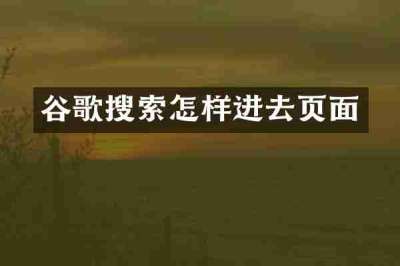 谷歌搜索怎样进去页面
