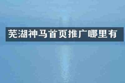 芜湖神马首页推广哪里有