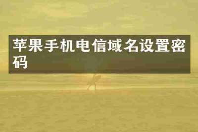 苹果手机电信域名设置密码
