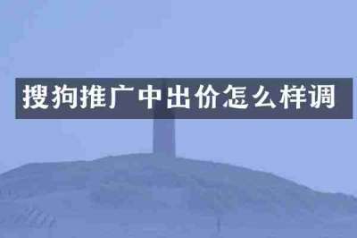搜狗推广中出价怎么样调