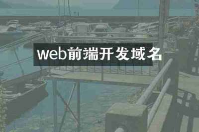 web前端开发域名