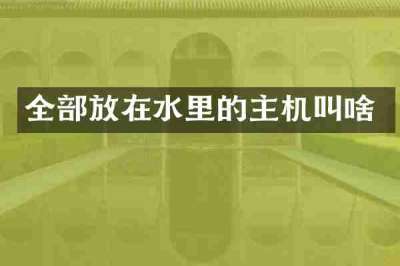 全部放在水里的主机叫啥