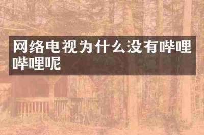 网络电视为什么没有哔哩哔哩呢