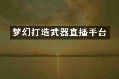 梦幻打造武器直播平台