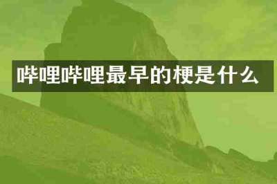 哔哩哔哩最早的梗是什么